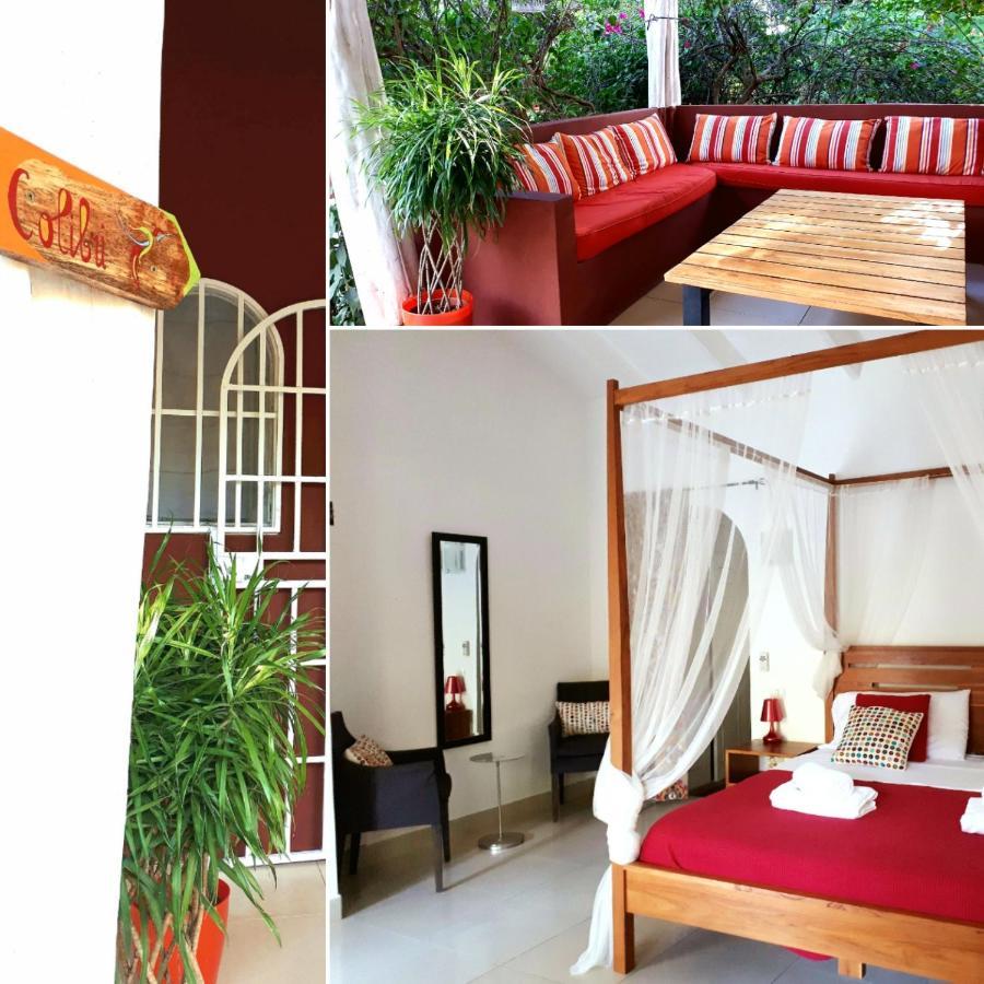Casa Mapache Hotel ตามารินโด ภายนอก รูปภาพ