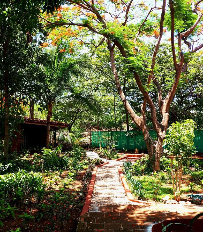 Casa Mapache Hotel ตามารินโด ภายนอก รูปภาพ