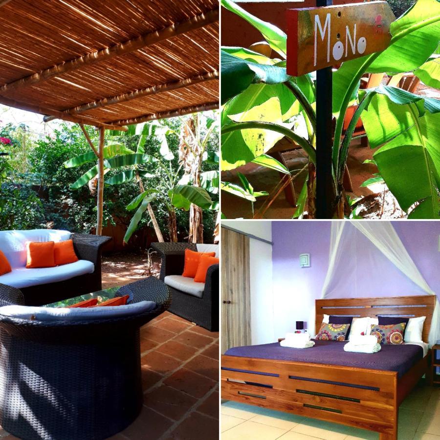 Casa Mapache Hotel ตามารินโด ภายนอก รูปภาพ