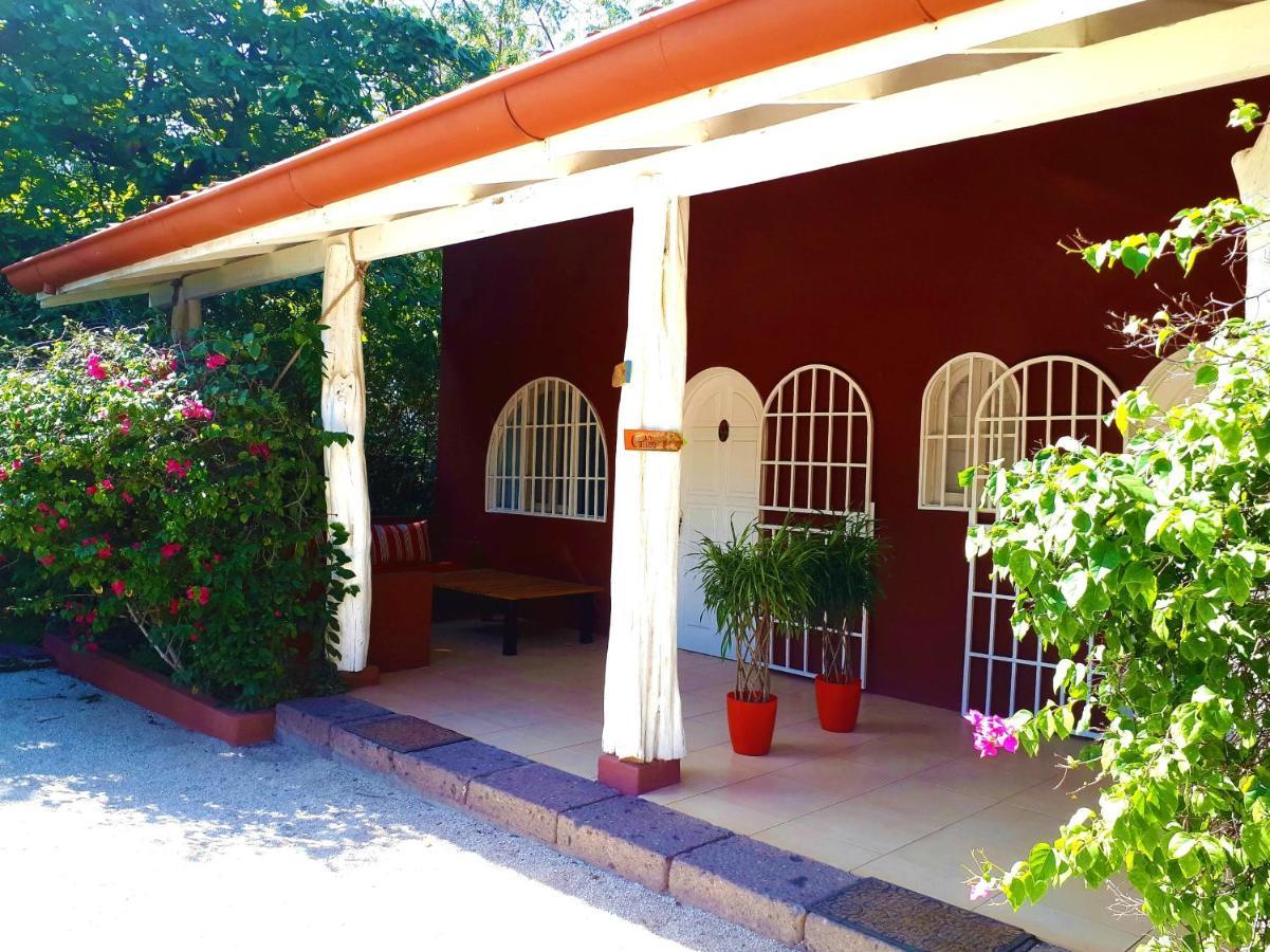 Casa Mapache Hotel ตามารินโด ห้อง รูปภาพ