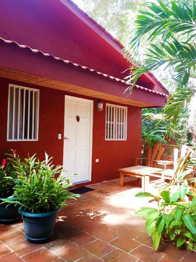 Casa Mapache Hotel ตามารินโด ภายนอก รูปภาพ