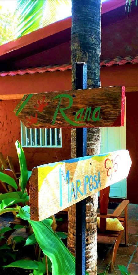 Casa Mapache Hotel ตามารินโด ภายนอก รูปภาพ