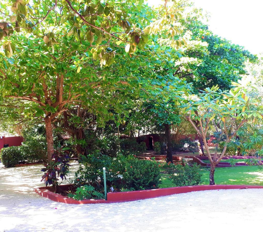 Casa Mapache Hotel ตามารินโด ภายนอก รูปภาพ